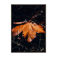 Plakat Jesienny Liść No 2