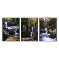 Zestaw Plakatów W Środku Lasu