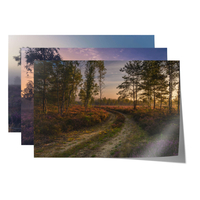 Zestaw Plakatów Poranek Na Wrzosowisku