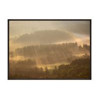 Plakat Poranne Promienie Słońca