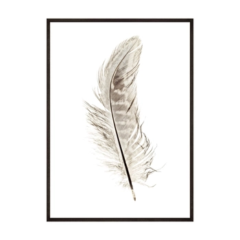 Plakat Brązowe Piórko