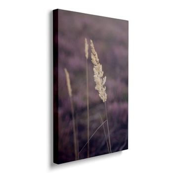 Obraz Ostatnie Dni Lata