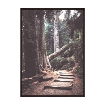 Plakat Leśna Ścieżka