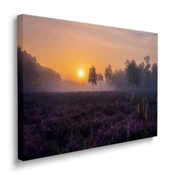 Obraz Poranek Na Wrzosowisku