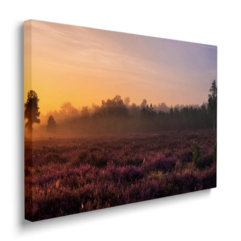 Obraz Wrzosowe Pole