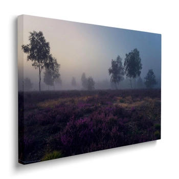 Obraz Wrzosowa Kraina