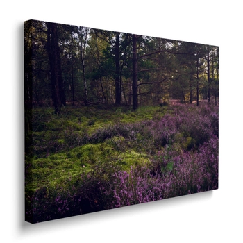 Obraz Wrzosowa Polana