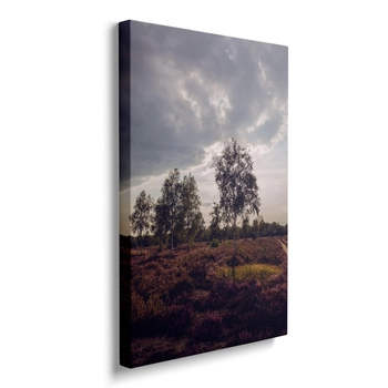 Obraz Drzewa Na Wrzosowisku